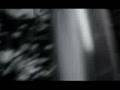 The Stills - Lola Stars And Stripe