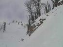 Bluebird vid 2