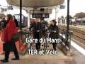 Jean Philippe MAGNEN, Europe Ecologie, Sarthe
