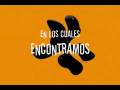 videos de Zona Activa