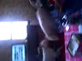 hy don t watch it if you re a scare people