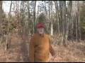videos de Property for sale Acreage Mancelona Michigan
