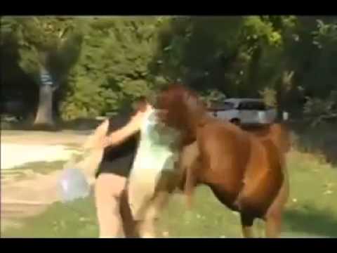 سكس حصان مع بنت