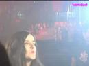 Making off  Melancolia Lantana
