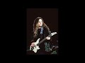 Timothy B. Schmit - Parachute