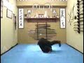 Gimnasia 1 Bujinkan Colombia