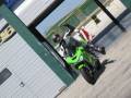 videos de Ninja-italia @ Kawasaki Day - Misano Adriatico - 21/22 giugno 2008 - Parte2