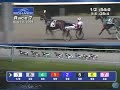 Somebeachsomewhere - Ontario Sires Stakes Record