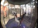 Beginning freeflying in the tunnel