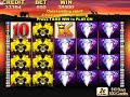 Pokies 50 Lions Win