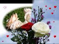 LES ROSES BLANCHES