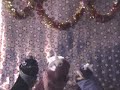 Funny Christmas song- Kung Pao Buckaroo Holiday
