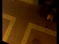 videos de crispulo para fama