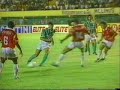Rivaldo no Palmeiras