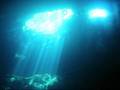 The Pit Cenote tauchen in Yucatan