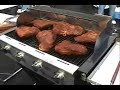 OAKLAND RAIDERS TAILGATER \"LONELY BEAR FAN\"