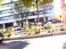dom-a-la-caza-con-el-mazda-de-tramo.html