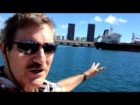Whales In Honolulu Harbor