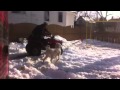 Joel y mauricio - YouTube