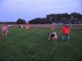 videos de 92808DashaVideo.wmv