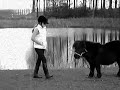 Circus kunstjes van mijn SHetlander Circus kunstjes van mijn SHetlander