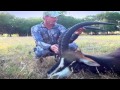 Sable Bow Hunting