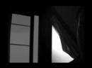 Stalked