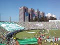 palmeiras e atlético mg + festa na rua do palestra