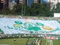 palmeiras e atlético mg + festa na rua do palestra