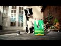title="GardeningEssentials.co.uk