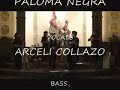 la piragua paloma negra