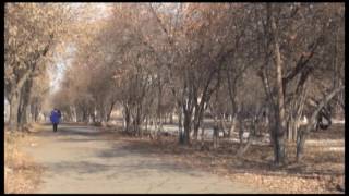 В центре нашего города обнаружена и уничтожена граната