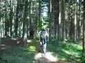 080628 Hirafu Secret Trail