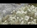 Eine Nacht auf dem Dirfis 2009 one night on Dirfis HD