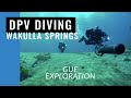Blue Water at Wakulla Springs