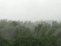 Typhoon Swept