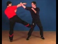 DRAGOS WING TSUN BOOTCAMP LONDON 2011 VIDEO2-Impression on Basics-and-Technician-Level1-5.mp4