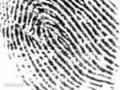Biometric Car Security