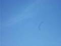 F3B EAGLE Electrified...