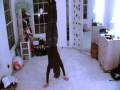 my talent