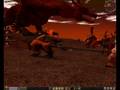 videos de Metin2 Event am 19.11.08 (Screens)