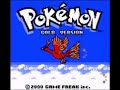 Pokemon G/S Remix: Champion Battle