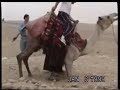 Egypt 1999