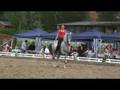 dressage artistique/artistic dressage suisse 2008