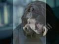Björk - I miss you (Telegram version)
