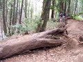 Biking Biking