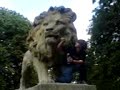 fire breating lion