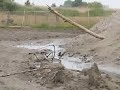 Huiszwaluwen verzamelen modder voor nest.