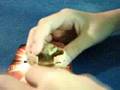 **NEW**SERIES 2 BAKUGAN !!!!!