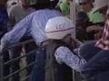 Fink Finds Out: Mutton Bustin'